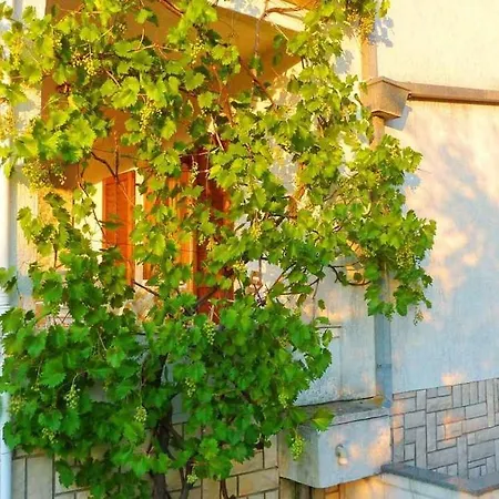 Apartment In Dobrinj/insel Krk 35141 *